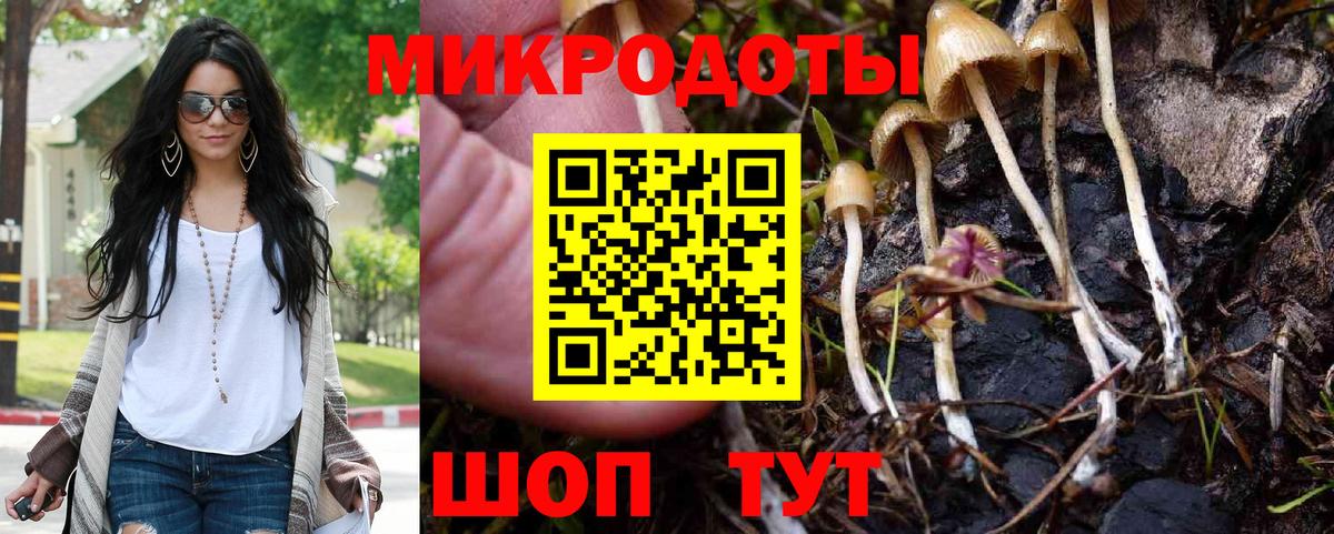Галлюциногенные грибы Psilocybe Удомля