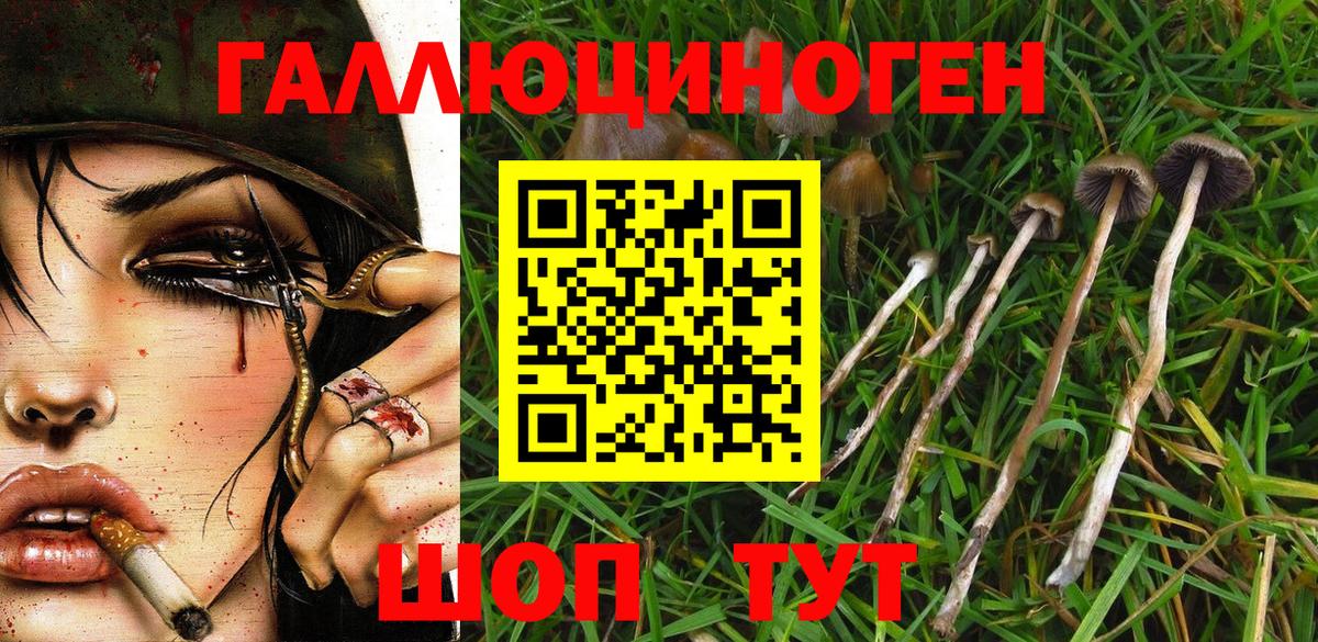 Удомля  Галлюциногенные грибы ЛСД  Псилоцибиновые грибы мицелий  Вход с VPN 